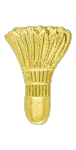 5166 - Badminton