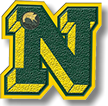 Three Dimensional Letters (N)