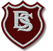 Shape Patches