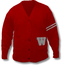 Cardigan Style Wool Sweater with arm stripes and  Chenille "W" over the left pocket