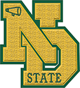 Interlocking Chenille Patch (ND)