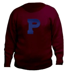 Crewneck Style Wool Sweater with Intarsia (knitted in) “H” (Placeholder)